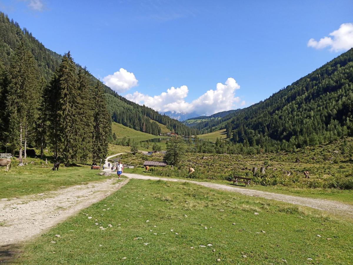 Ferienwohnungen Reinbacher - Primps Schladming Exterior foto