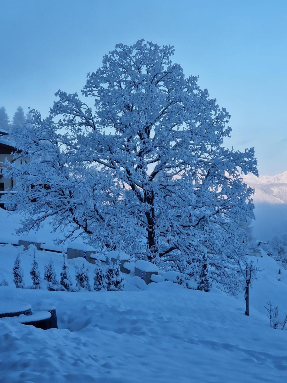 Ferienwohnungen Reinbacher - Primps Schladming Exterior foto
